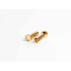 5mm Gold connectors - WorksTeam - 18mm length (10 pcs.)