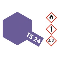 TS-24 Violet glossy 100ml Spray