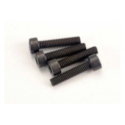 Screws, 2.5x12mm cap-head machine (6)