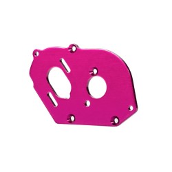 Plate, motor, pink (4mm thick) (aluminum)/ 3x10mm CS with split and flat washer (2)