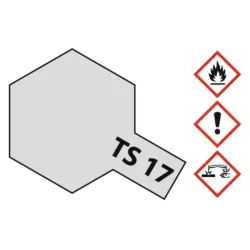 TS-17 Aluminum Silver Glossy 100ml Sp