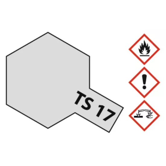 TS-17 Aluminum Silver Glossy 100ml Sp