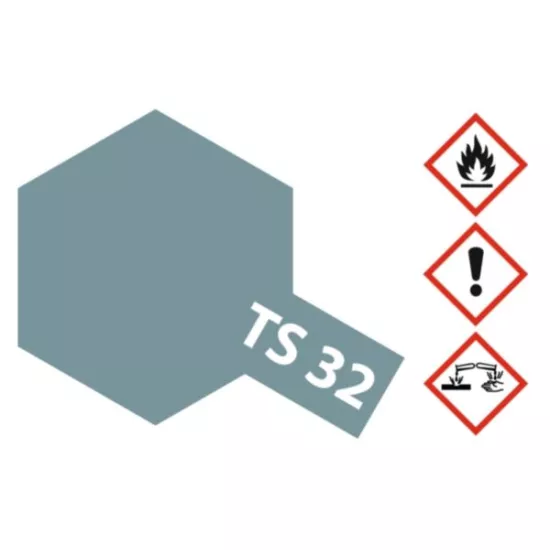 TS-32 Mist grey matt 100ml spray