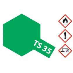 TS-35 Park Green Glossy 100ml Spray