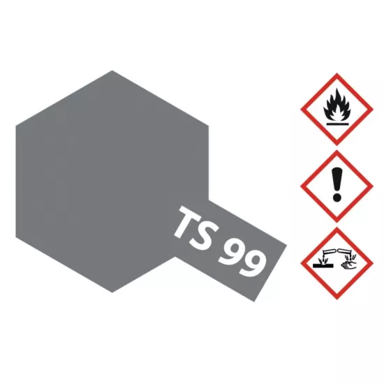 TS-99 IJN Grey matt 100ml