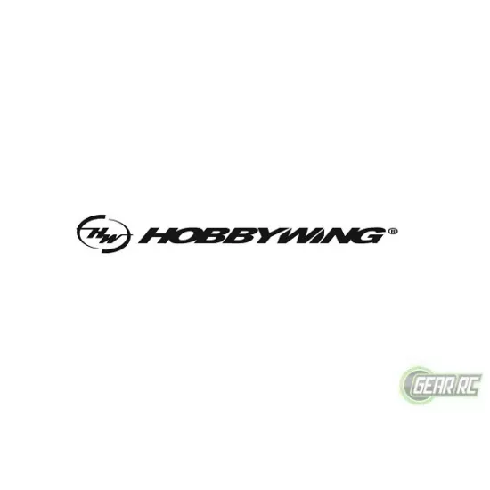 Hobbywing Seaking 180A V3