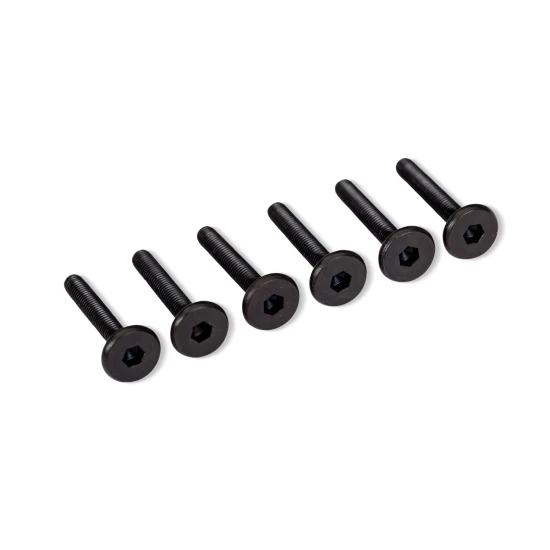 Screws Flat-Head 3x20mm Hex (6)