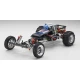 1:10 Scale Radio Controlled Electric powered 2WD Racing Buggy TOMAHAWK