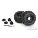 Badlands MX28 2.8” MTD Raid Black 6x30 F/R (PRO1012510)