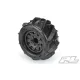 Dumont 2.8