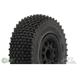Gladiator SC 2.2/3.0 M2 (Medium) Tires Mounted on Reneg