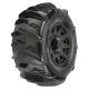 Dumont 3.8 Paddle MTD on Raid Black 17mm F/R