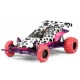Tamiya 1op10 RC De Hornet door Jun Watanabe