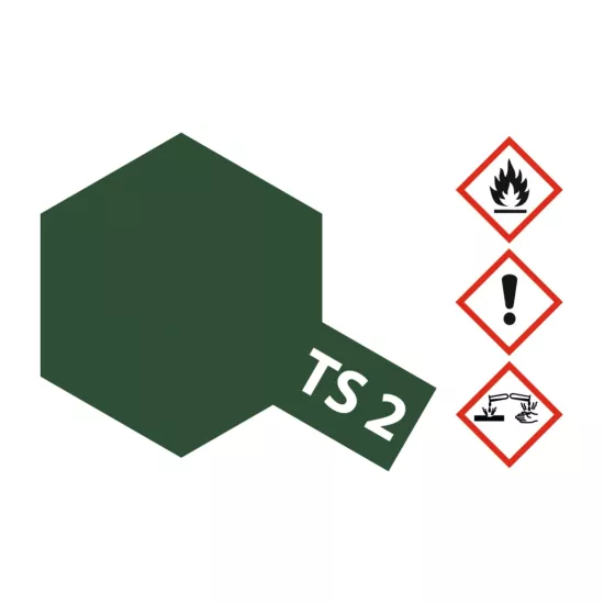 TS-2 Dark green matt 100ml spray