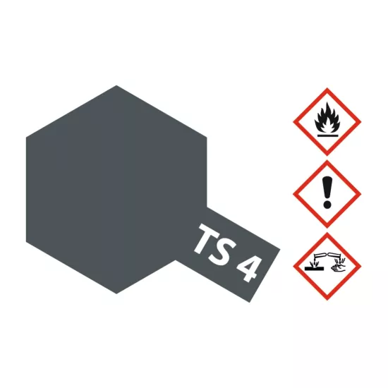 TS-4 German-Grey matt 100ml Spray