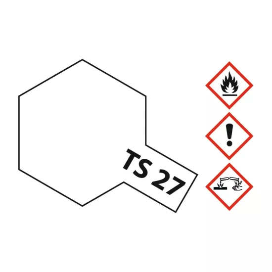 TS-27 White matt 100ml Spray