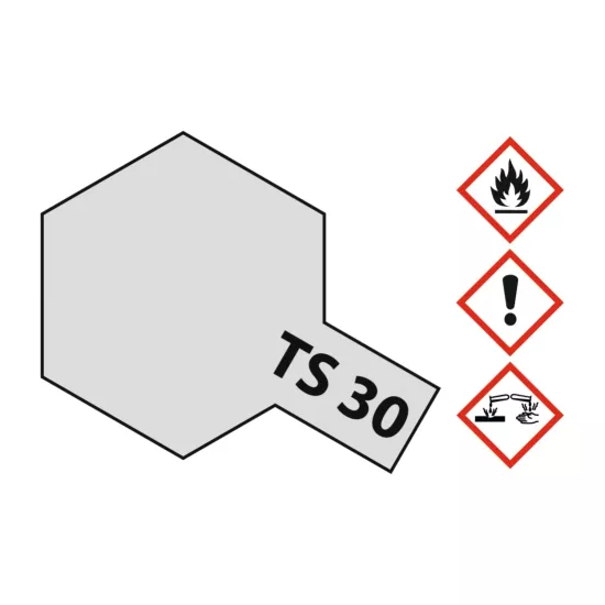 TS-30 Metallic Silver Glossy 100ml