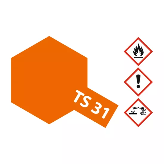 TS-31 Luminous Orange Shiny 100ml Spray