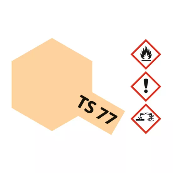TS-77 Meat colors matt 100ml spray