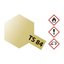 TS-84 Metallic Gold Glossy 100ml Spray