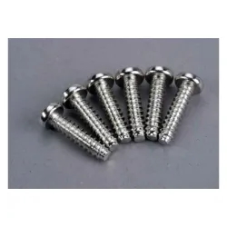 Screws, 5x20mm roundhead self-tapping (6)