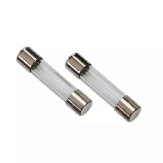 Fuse, charger, 5A (2) (for2970, TRX2978