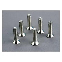 Screws, 5x20mm countersunk machine (6)