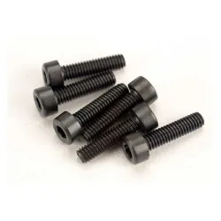 Screws, 2.5x10mm cap-head machine (hex drive) (6)