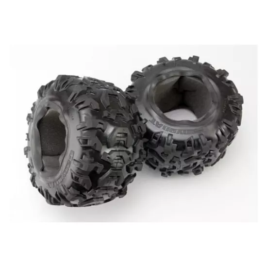 Tires, Canyon AT 3.8 (2)/ foam inserts (2)