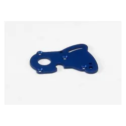 Plate, motor (for single motor installation, use with gear c