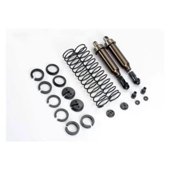 Shocks complete (2) (rear)