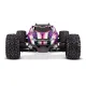 Rustler 4X4 1op10-scale 4WD Stadium Truck met TSM roze