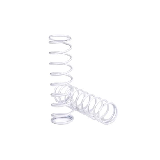 Springs (rear) (2)