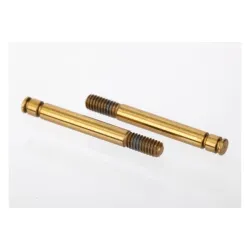 Shaft, GTR shock, TiN-coated (2), TRX6961T