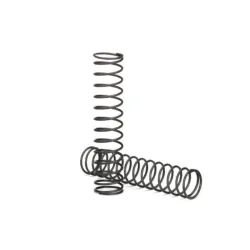 Springs, shock (natural finish) (GTX) (1.055 rate) (2), TRX7766