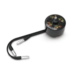 Motor, brushless