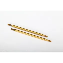 Shock shaft, 74mm (GTR) (rear) (TiN-coated) (2)