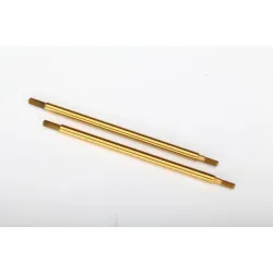 Shock shaft, 81mm (GTR) (rear) (TiN-coated) (2)