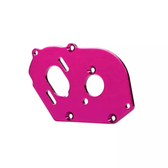 Plate, motor, pink (4mm thick) (aluminum)/ 3x10mm CS with split and flat washer (2)
