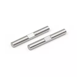 Rear Pivot Pin For C-Hub Spring Steel (2), X307320