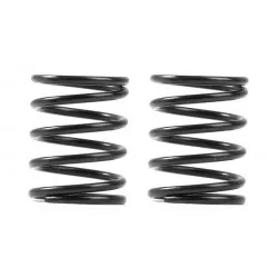 XRAY 3S SPRING-SET C=4.5 (2)