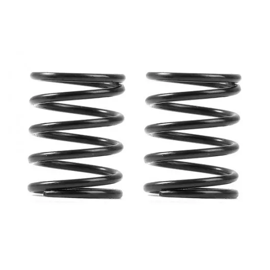 XRAY 3S SPRING-SET C=4.5 (2)