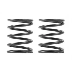 XRAY 3S SPRING-SET C=5.0 (2)