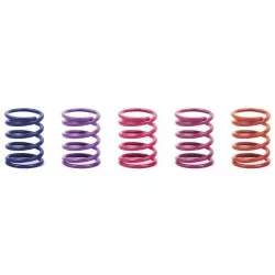 Spring-Set D=1.7 (25 Lb) Dark-Blue - Soft-Medium - Rear (2)