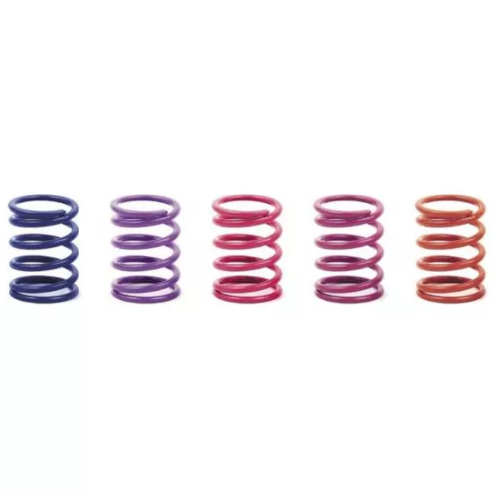 Spring-Set D=1.7 (25 Lb) Dark-Blue - Soft-Medium - Rear (2)
