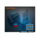 Xray Xb8 2020 - 1/8 Luxury Nitro Off-Road Car