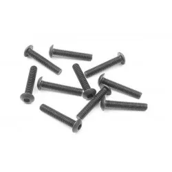 Hex Screw Sh M3X16 (10)