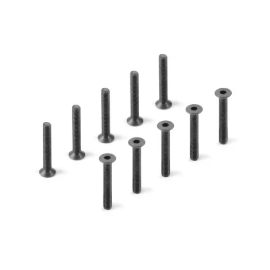 HEX SCREW SFH M3x25  (10)