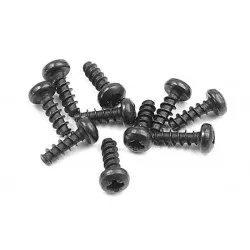 Screw Phillips 2.5X8 (10), X905258