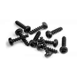 Screw Phillips 2.5X10 (10), X905260